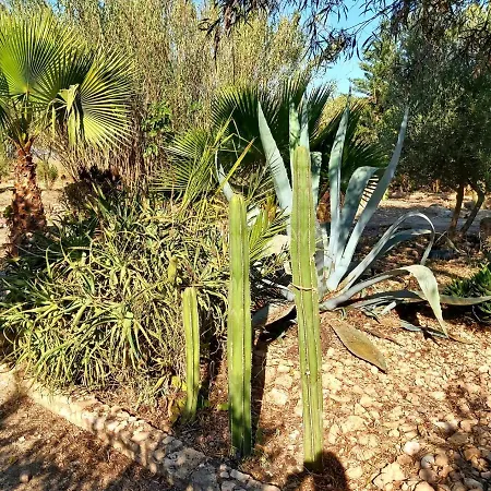 Διαμέρισμα Relax Y Descanso *