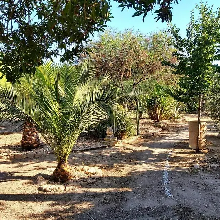 Relax Y Descanso * Aspe